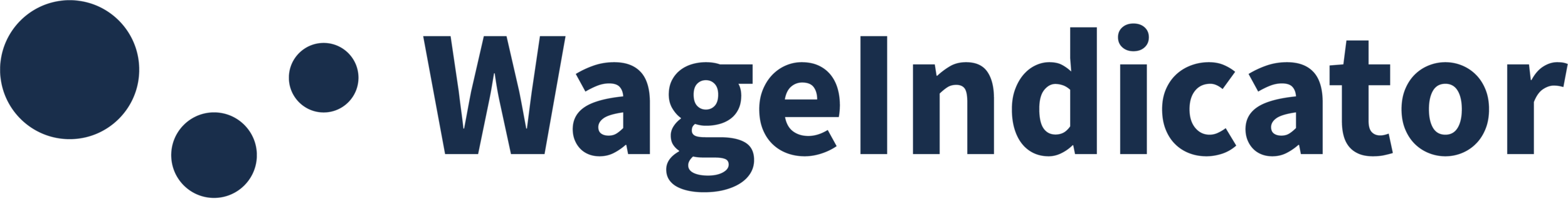 WageIndicator logo